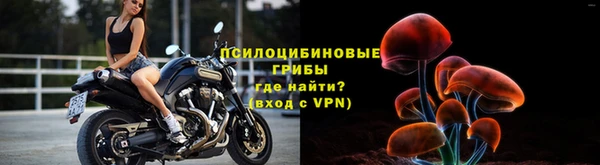 скорость Алзамай